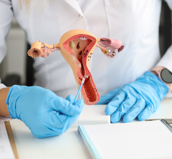 Urología Femenina